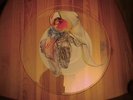 Fish Ex-Marillion UNCUT Shape Picture - Disc  A Gentleman's Excuse Me