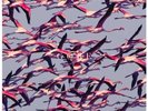 Deftones - Gore