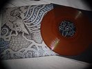 CIRCLE TAKES THE SQUARE - AS THE ROOTS UNDO vinyl lp post-hardcore