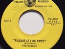 GARAGE PUNK The Rabble PLEASE SET ME FREE Trans World 45 rare Canadian Montreal