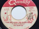 GARAGE PUNK The Haunted I CAN ONLY GIVE YOU EVERYTHING Quality 45 rare Canadian