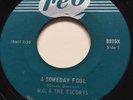 GARAGE PUNK M.G. & The Escorts A SOMEDAY FOOL Reo 45  Canadian KILLER