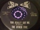 Rare Indiana Garage Punk Stomper 45 The Other Five You Really Got Me KINKS HEAR