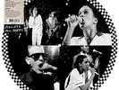 Selecter - Access All Areas
