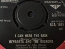 Reparata And The Delrons 7