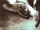 North Star Deserter - 2 DISC SET - Vic Chesnutt (2010, Vinyl NEUF)