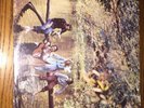 PAUL MCCARTNEY & WINGS  WILD LIFE APPLE SW 3386 SHRINK WRAP STERLING EXCELLENT