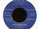 HARLIN & STANLEY WRIGHT BROTHERS on Excellent Ohio Bluegrass Bop 45 Hear
