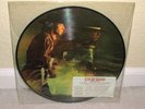 STEVIE RAY VAUGHAN Couldn't Stand The Weather LP Rare Epic Picture Disc NM-