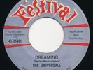 UNIVERSALS Love Bound FESTIVAL Popcorn R&B Soul 45 Doo Wop HEAR