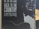 BIG JOE WILLIAMS  Back to the Country LP TESTAMENT 2205 (1964) VG+