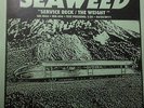 Seaweed-Service Deck/The Weight-Test Pressing-No Idea Records