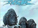 ARCTIC NEW VINYL