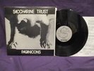 Saccharine Trust 'Paganicons' LP EX W/INSERT