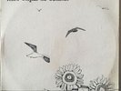 NAOMI - Seagulls and Sunflowers - RARE PRIVATE FOLK PSYCH LP HEAR