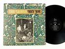 Leaves, The – Hey Joe   Rare Garage Rock - 1966 Mira Stereo