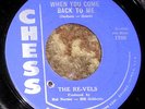 RARE 1958 R&B Doo-Wop 45 - THE RE-VELS 