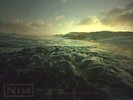 NINE INCH NAILS Wild in Woodstock - 2LP / Vinyl - Limited 500