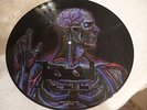 Tool -Lateralus - PIC DISC