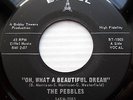 the Pebbles DOOWOP 45 Oh what a beautiful dream That was my girl EIFFEL M- FM77
