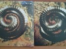 NIN Nine Inch Nails closer closer to god two record set rare vinyl album EP lot