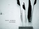 Poppy Ackroyd - Feathers [Vinyl,LP,Album]