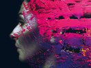 Steven Wilson - Hand. Cannot. Erase. [Vinyl,LP,Album]