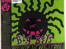 Big Boys-Lullabies Help The Brain Grow LP TX HC Punk classic  RE of 300 copies