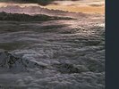 Santana - Moonflower [New Vinyl LP] Holland - Import