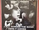 1987 Stone Roses Sally Cinnamon Original First Pressing 12