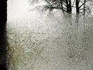 For Emma, Forever Ago - BON IVER [LP]