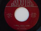 The Nomads  I need Your Love / willow wind 45