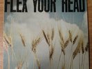 Flex Your Head Compilation (Minor Threat,Government Issue,Iron Cross) DISCHORD 7