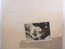 TUSK LP Album by Fleetwood Mac (Vinyl, 1979 Warner Bros.Records Record Label)