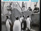 LES PINGOUINS Shuffle +3   RARE 1963 DECCA EP   surf instrumental