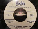 DOO WOP SINCERES RICHIE 545 IF YOU SHOULD LEAVE ME/PLEASE DON'T CHEAT ON ME DJ