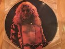 VINTAGE LED ZEPPELIN ROBERT PLANT 12
