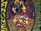 Ramones - Acid Eaters -  Limited gatefold 180 gram green vinyl LP Punk Rock