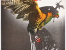 BUDGIE: In for the Kill UK MCA Orig A1/B1 Vinyl LP Rare ORIG