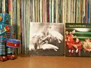 The Raconteurs RSD AND Dead Weather Vault 45 7