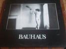 BAUHAUS In The Flat Field 12
