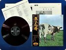 PINK FLOYD 