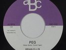 Funk Boogie Vocoder 45 - Brian Ellis - Peg/Dream Wave - ABC VG+ mp3 2015 release