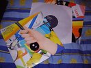 The Feeling - Twelve stops and home - RARE Vinyl LP album 2006