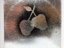 “SILVER APPLES” s/t  psych LP KAPP orig ‘68 NM w/ POSTER silver cover