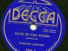 BLUES- KOKOMO ARNOLD 