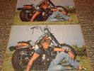 JOHNNY HALLYDAY RARE PUZZLE EFFECTUE SUR PLAQUE DE BOIS+ LE POSTER