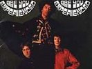 JIMI / JIMMY HENDRIX EXPERIENCE - ARE YOU EXPERIENCED? VINYL LP ALBUM NEW