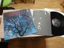 AMON DÜÜL PHALLUS DEI 1969 KRAUTROCK NM WITH POSTER MEGA RAR