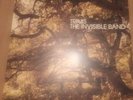 Travis Invisible Band Vinyl Album